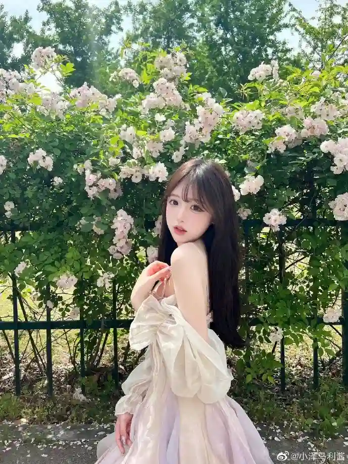 电影下载数据可视化