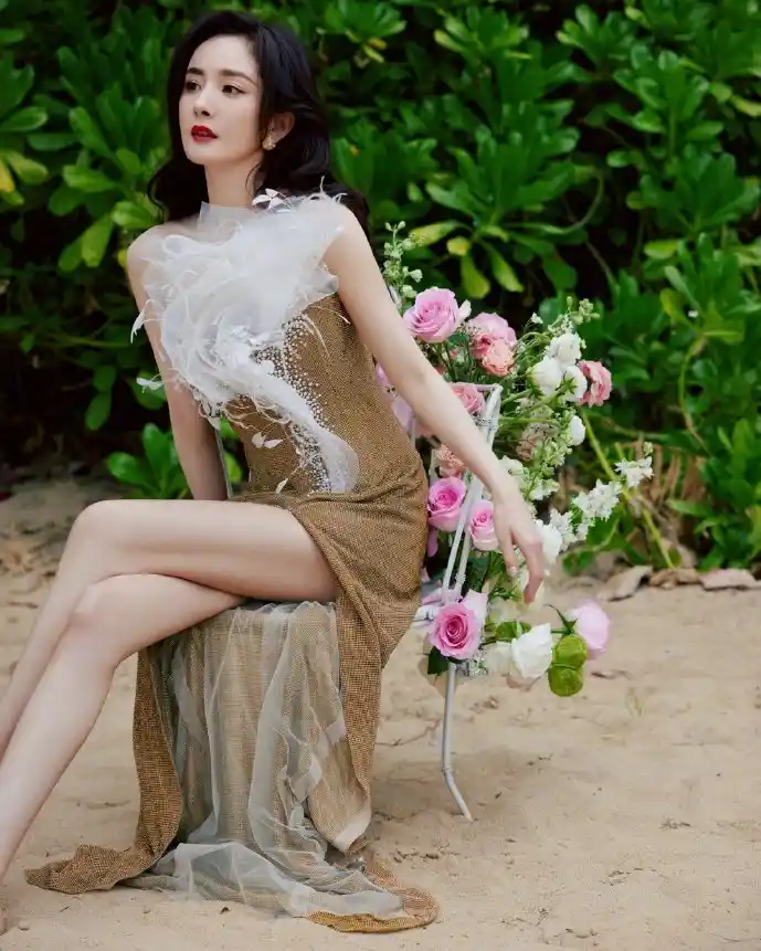 数位板驱动下载界面对比